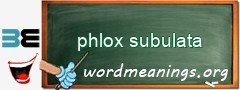 WordMeaning blackboard for phlox subulata